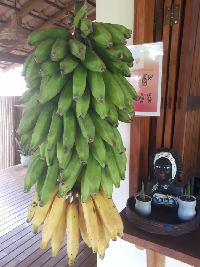 Pousada Vila Cacau セーハ・グランデ エクステリア 写真